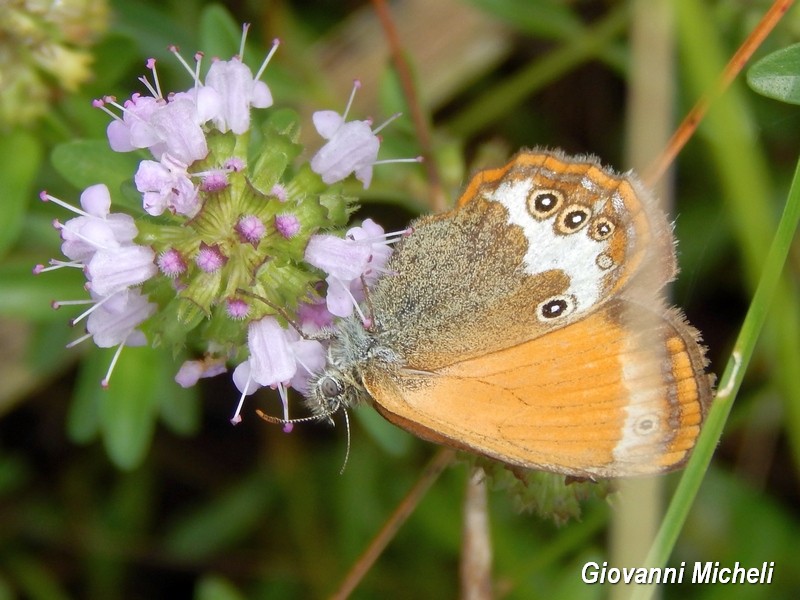 Parco del Ticino 13.6.15